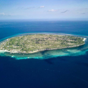 [보홀] 프라이빗 파밀라칸 호핑투어(돌고래와칭 + 거북이포인트 + 산호포인트 + 고프로촬영)