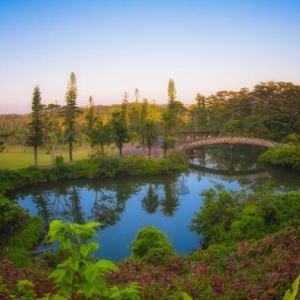 [오키나와] 오키나와 동남식물낙원 입장권
