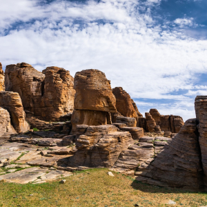 [몽골]4박5일 고비사막 투어