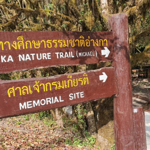 (한국어가이드) 치앙마이 도이인타논 국립공원 트레킹 단독 투어