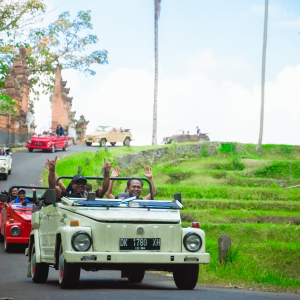 옐로 가든 아융강 래프팅 & 우붓 VW 투어
