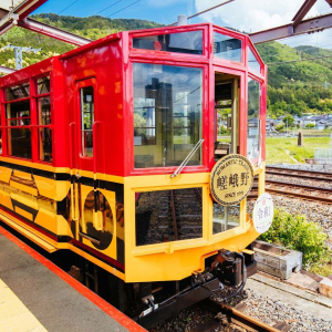 [한국어/영어가이드] 오사카 출발: 교토&나라 일일 버스 투어