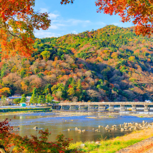 [한국어/영어가이드] 오사카 출발: 교토&나라 일일 버스 투어