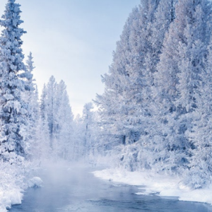 [몽골]  5박 6일 겨울 중부투어