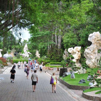 파타야 악어 농장 & 케이브 비치 클럽 반일 단독 투어