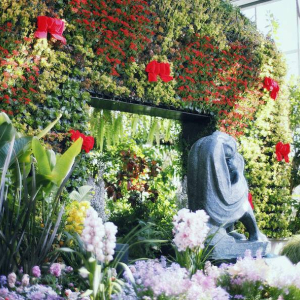 [고베] 고베 누노비키 허브가든 로프웨이 입장권