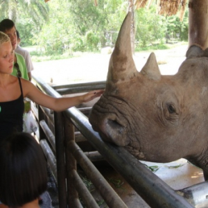 [파타야] 카오 키여우 오픈 주 입장권