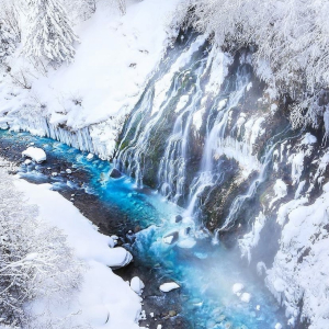 [🍤준페이매장식사🍤][매일출발♥️] 북해도  비에이 후라노 삿포로 버스투어 [라쿠투어]
