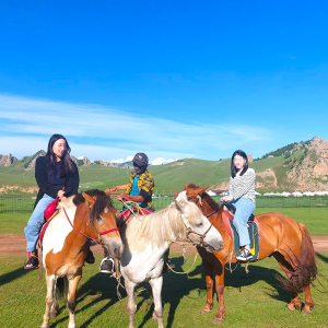 몽골 테를지 국립공원 반일 조인 투어 / 울란바토르 출발