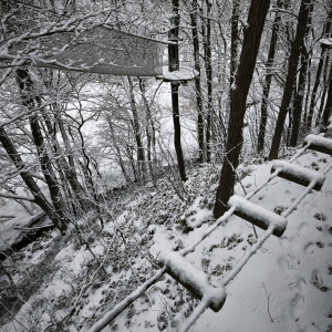 [홋카이도] 포레스트 어드벤처 에니와 체험권 (짚트립 투어)