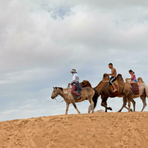 [몽골]2박3일 중부투어