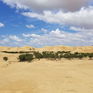 [몽골]3박4일 중부투어