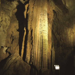 [야마구치] 야마구치현 아키요시 동굴 입장권