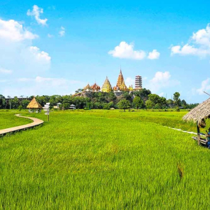 (한국어가이드) 칸차나부리 사파리파크 + 에라완국립공원 + 콰이강의다리 + 미나카페 단독 투어