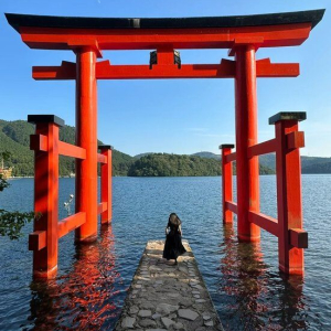 (한국어 가이드) 후지산 포토 스팟 일일 버스 투어 D코스