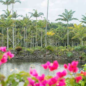 [오키나와]오키나와 동남식물낙원 1DAY 패스 (주간+야간)