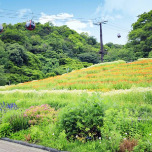 [고베] 고베 누노비키 허브가든 로프웨이 입장권