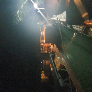 [보홀] 로아이강 반딧불이 반딧불 투어 픽드랍 포함