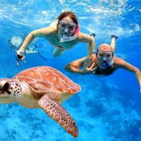 [발리]발리 아메드 스노클링 투어