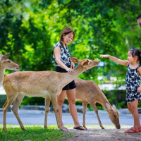 카오키여우 오픈주 & 케이브 비치 클럽 반일 단독 투어