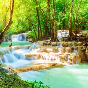 (한국어가이드) 칸차나부리 사파리파크 + 에라완국립공원 + 콰이강의다리 + 미나카페 단독 투어