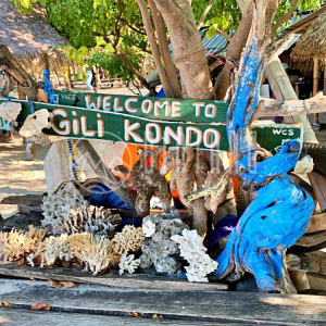 [롬복]에메랄드 바다 정복 길리 꼰도 데이 투어 I 길리 까팔, 길리 쁘따간, 스노클링