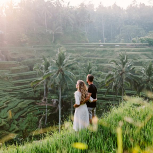 발리 커피 농장 + 우붓 데이투어