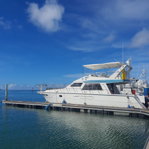 [괌] 스쿠버 컴퍼니 돌핀 크루즈