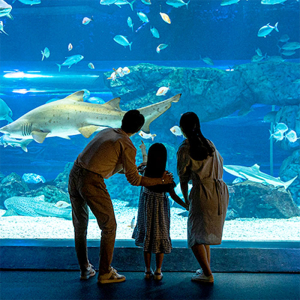 [광교] 아쿠아플라넷 입장권(2/1~2/28)