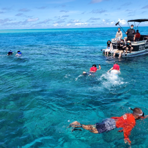 [괌] 비키니섬 돌핀 & 거북이 워칭 스노쿨링