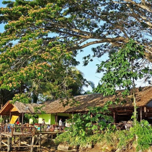 [코타키나발루] 카와카와 반딧불이 투어