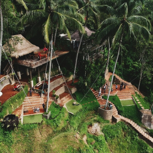 발리 알라스 하룸 (Alas Harum)  뜨갈랄랑 우붓 스윙 티켓