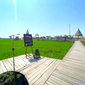 아유타야 반일 단독 투어 / 방콕 출발