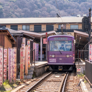 [한국어/영어가이드] 오사카 출발: 교토&나라 일일 버스 투어