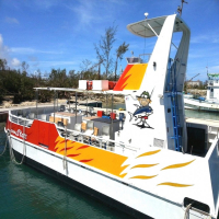 [사이판]  거북이 호핑투어