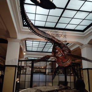 [도쿄] 일본국립과학박물관 일본관 키즈도슨트