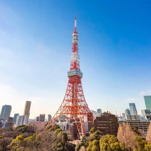  [도쿄] [입국 후 바로 여행] 단독 도쿄 반나절 투어 (공항 픽업 & 호텔 드롭) 반대도 가능!!