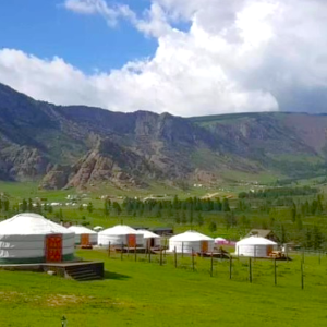 [울란바토르]몽골 테를지 국립 공원 1박 2일 단독 투어