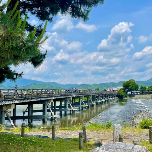 [오사카]오사카 출발 교토 5스팟 1일 버스투어 최소 인원 1명