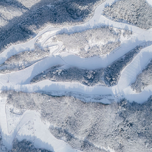 엘리시안 강촌 12월 상시