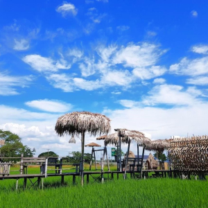 아유타야 반일 단독 투어 / 방콕 출발