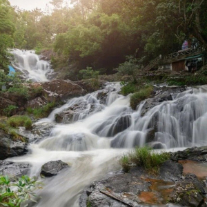 [나트랑] 리무진 차량 달랏 풀데이투어