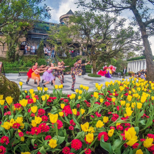 바나힐 일일투어 #가이드 #호텔픽업드랍 #입장권 #왕복케이블카 #골든브릿지 #공항드랍 #차량짐보관