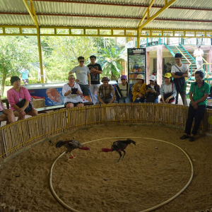 [나트랑] 양베이 테마파크 & 온천