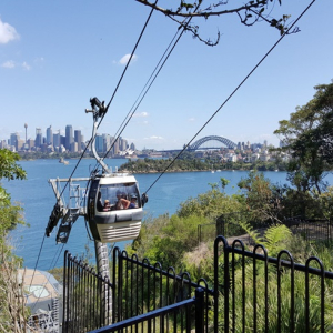 [시드니] 타롱가 동물원 티켓