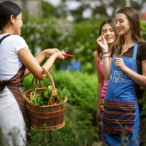 [치앙마이] 마마너이 쿠킹 스쿨 치앙마이