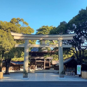  [도쿄] [입국 후 바로 여행] 단독 도쿄 반나절 투어 (공항 픽업 & 호텔 드롭) 반대도 가능!!