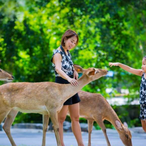 (방콕출발) 파타야 카오키여우 오픈주 반일 단독 투어