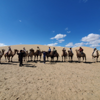 몽골 테를지 + 아르항가이 미니 고비사막 2박 3일 단독 투어