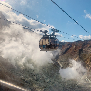 [도쿄] 출발 하코네 가마쿠라를 한번에, 1일버스투어 6명출확